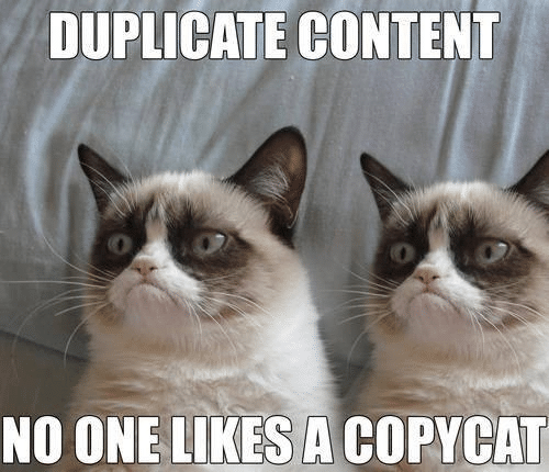 Avoid duplicate content